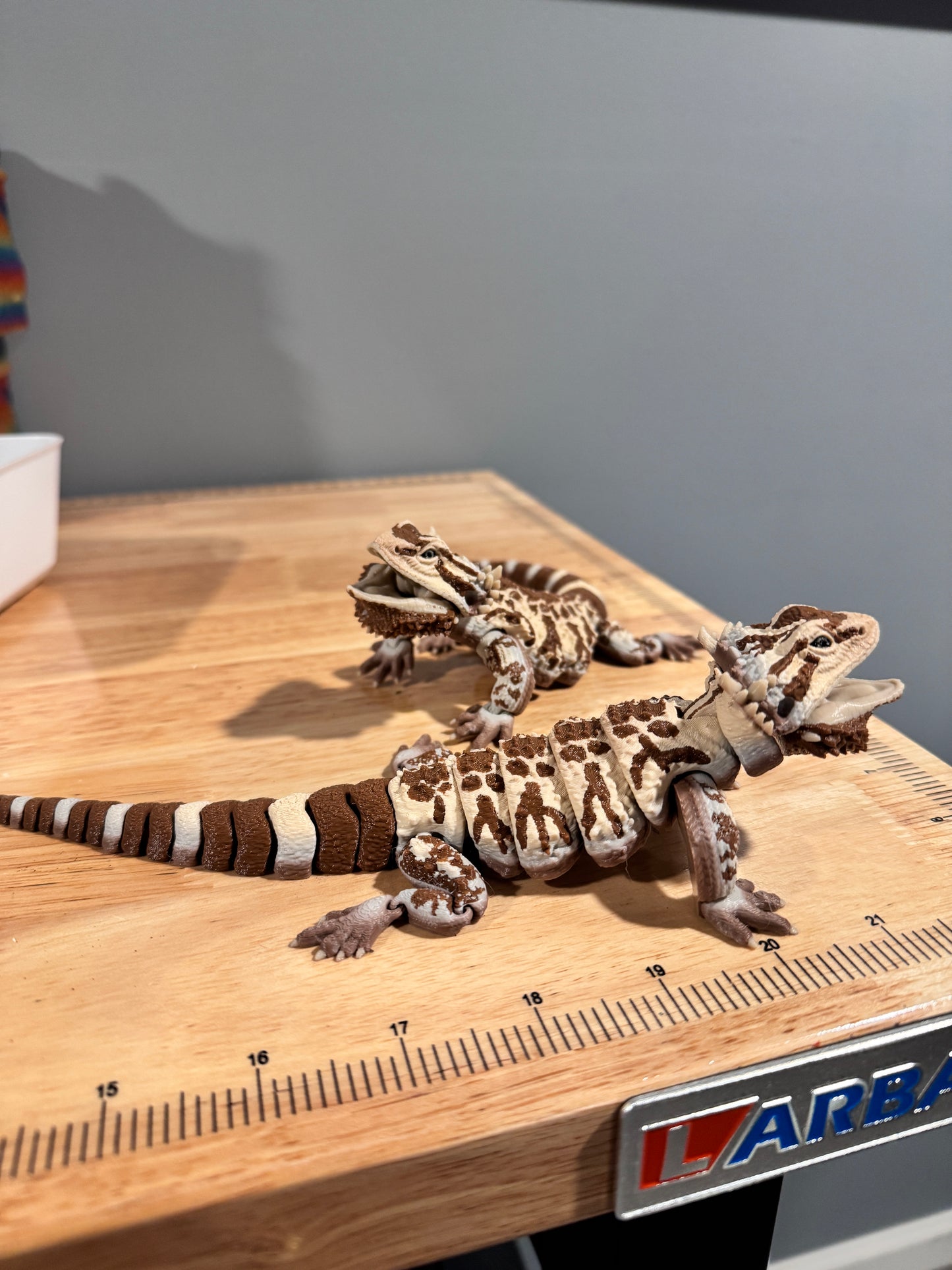 Bearded dragon - realistic