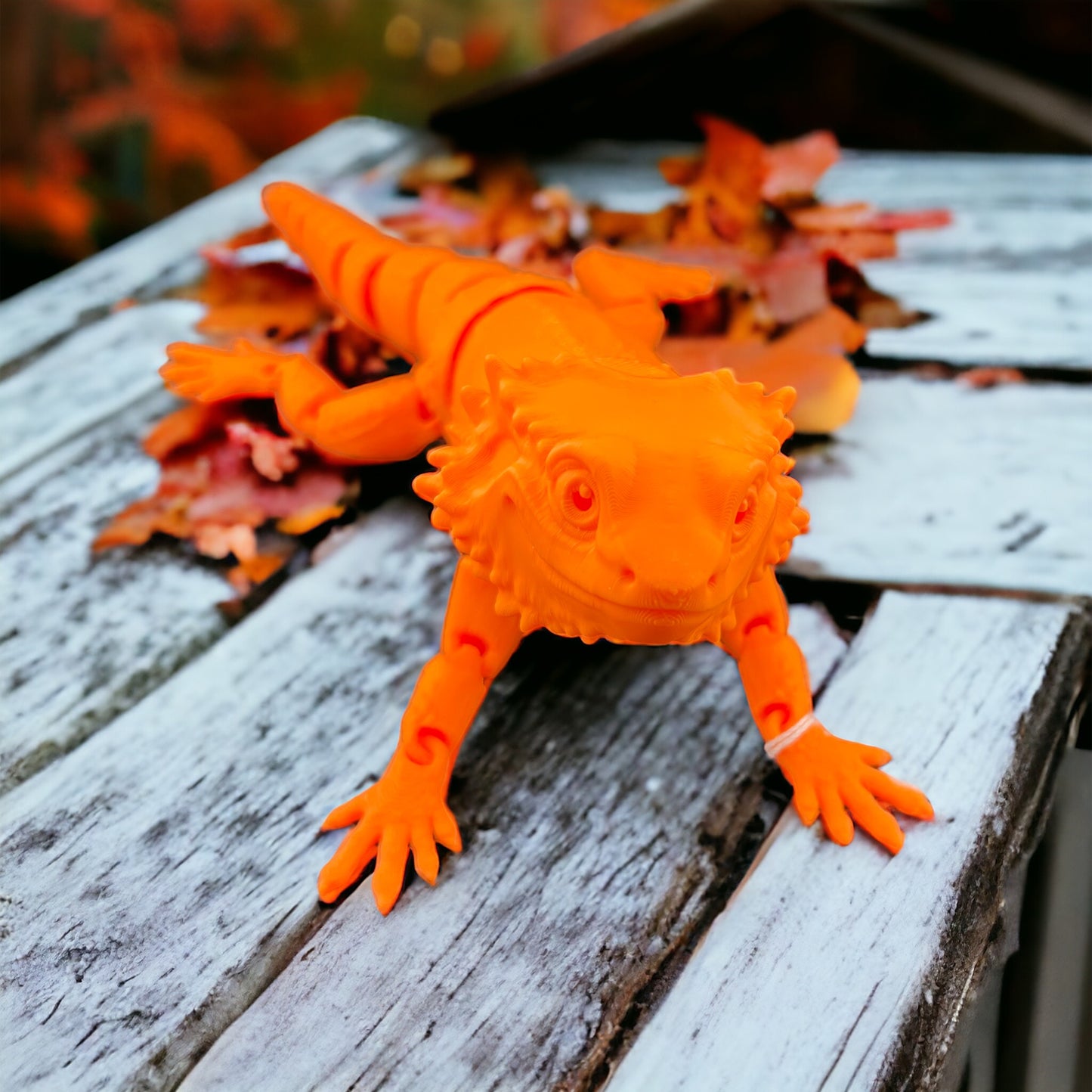 Bearded Dragon