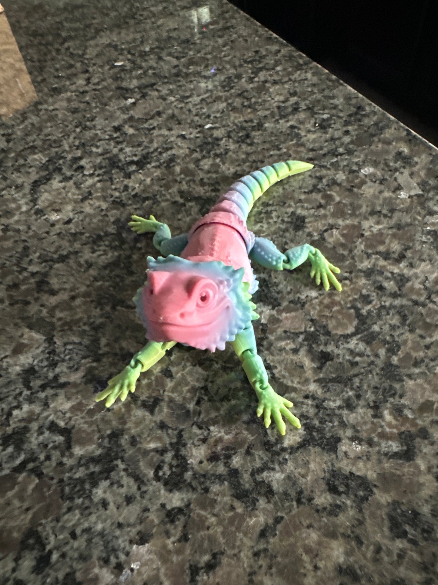 Flex Bearded Dragon-Medium