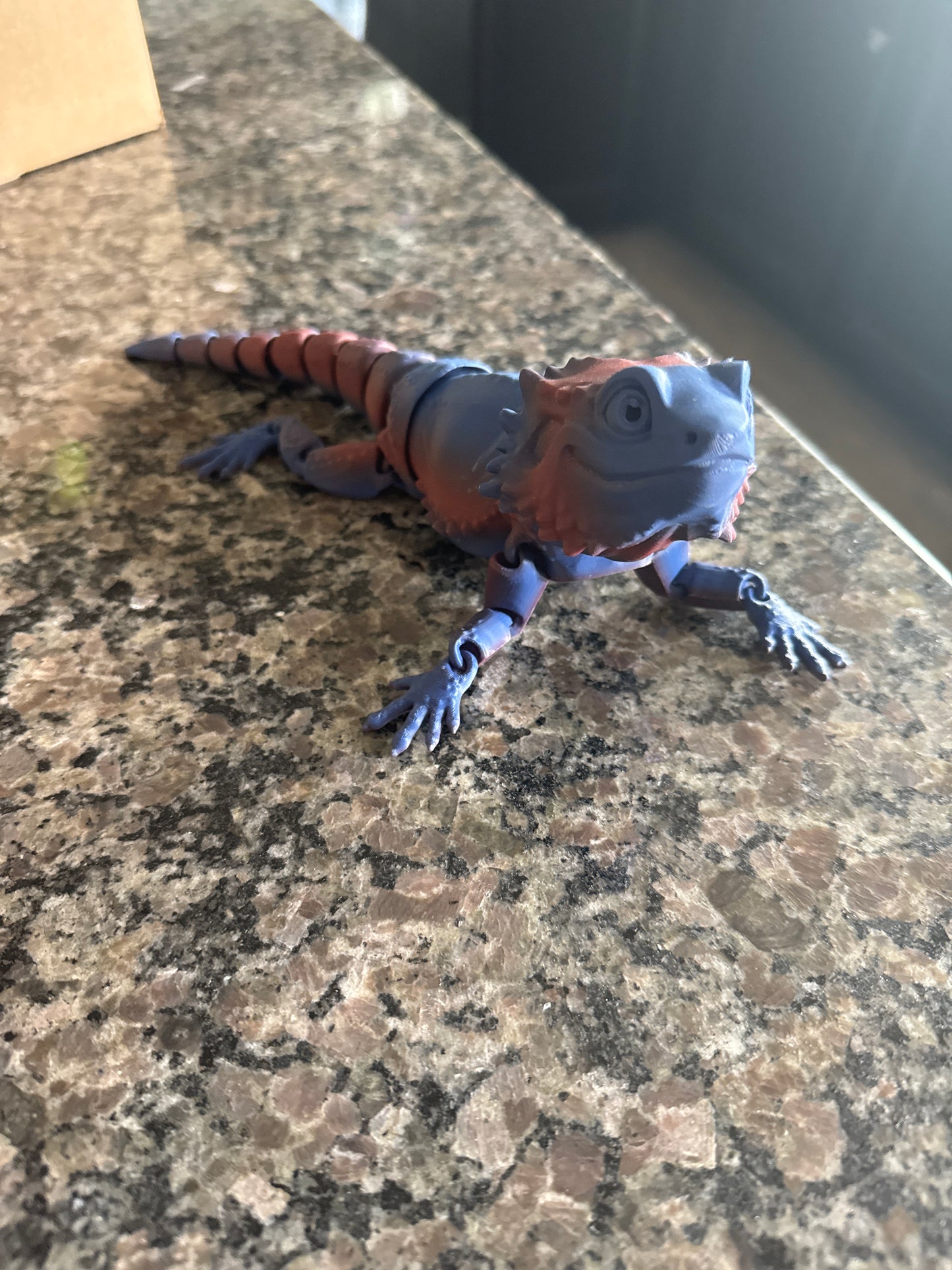 Bearded Dragon