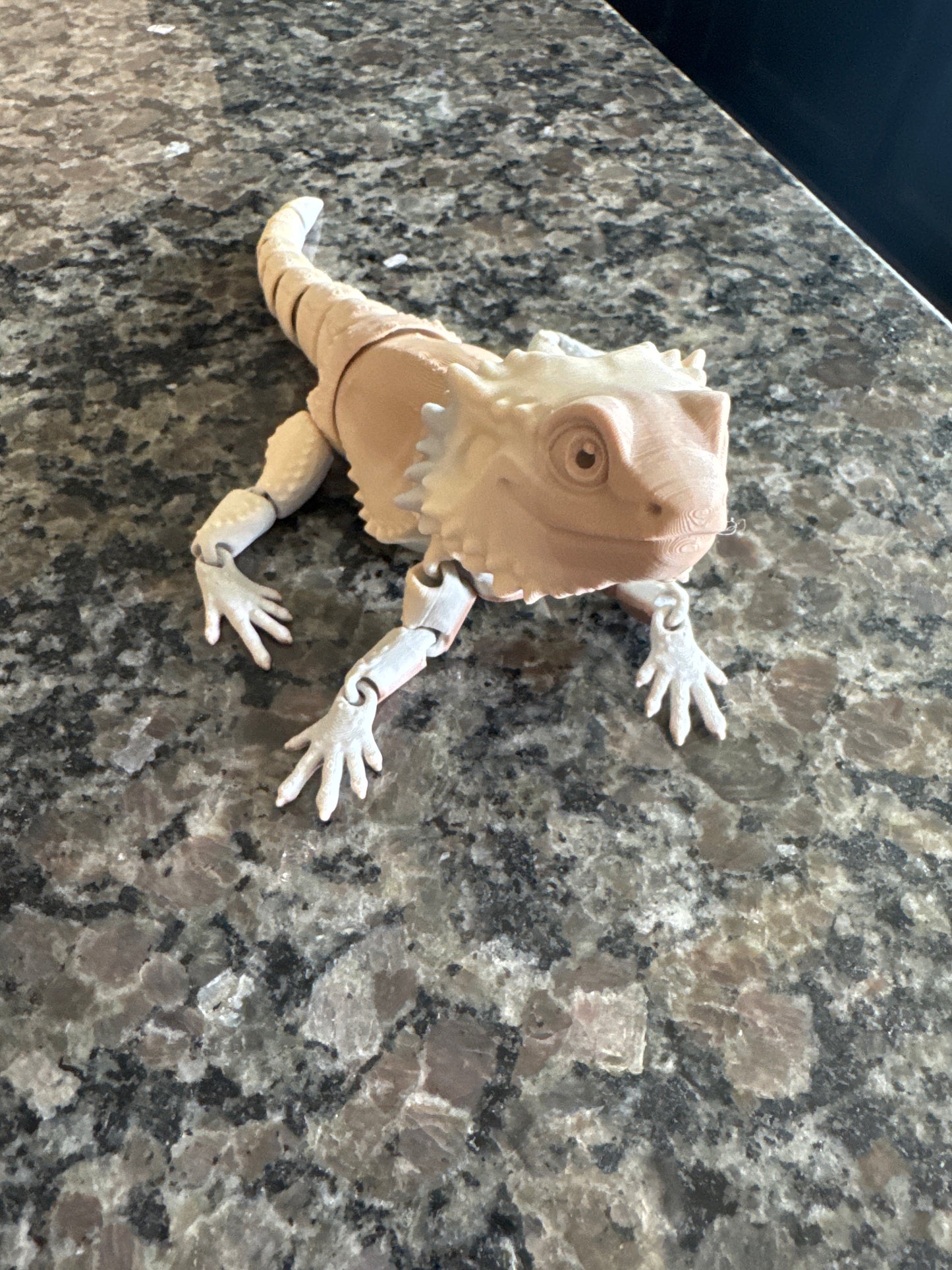 Flex Bearded Dragon-Medium