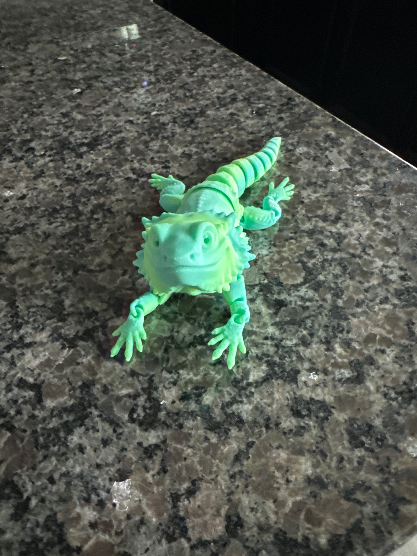 Flex Bearded Dragon-Medium