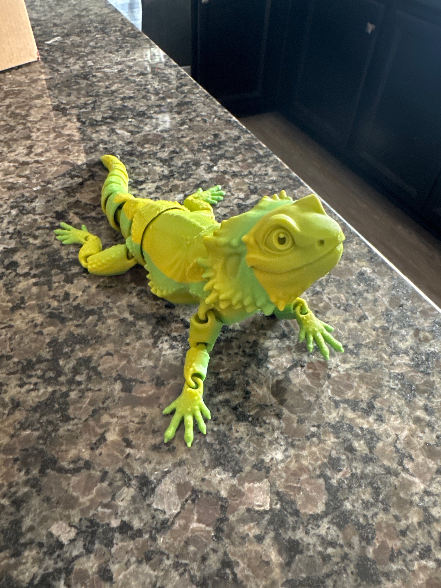 Bearded Dragon