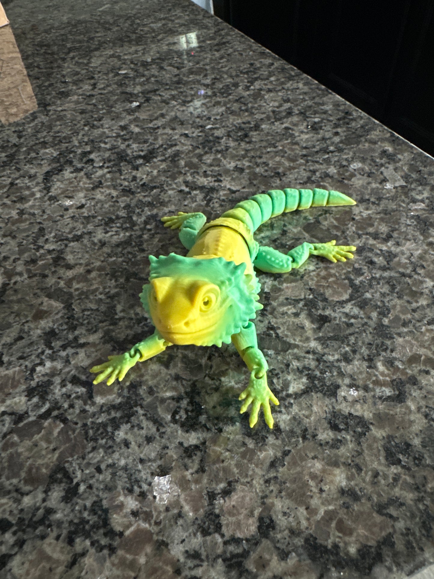 Flex Bearded Dragon-Medium