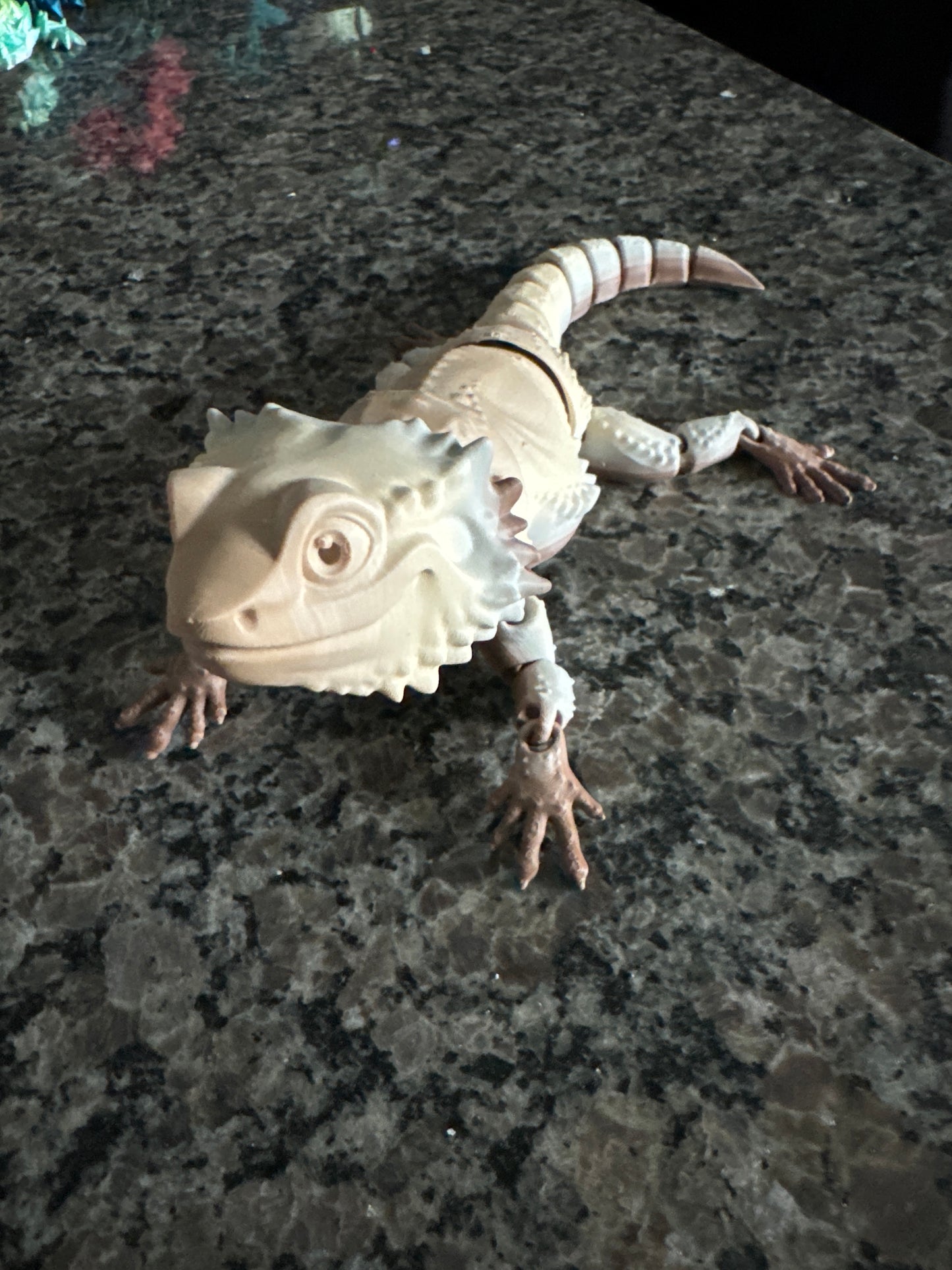 Bearded Dragon
