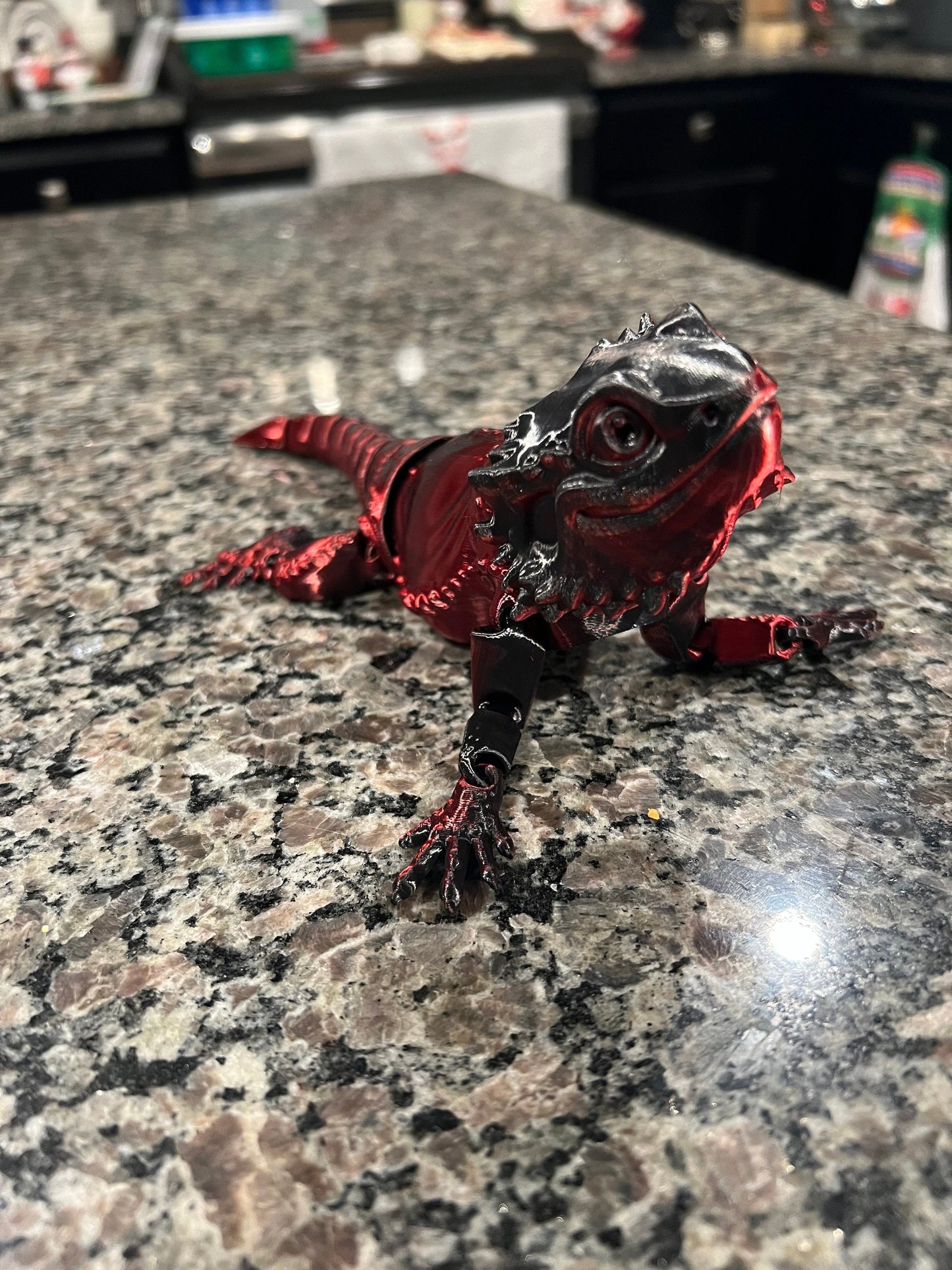 Bearded Dragon