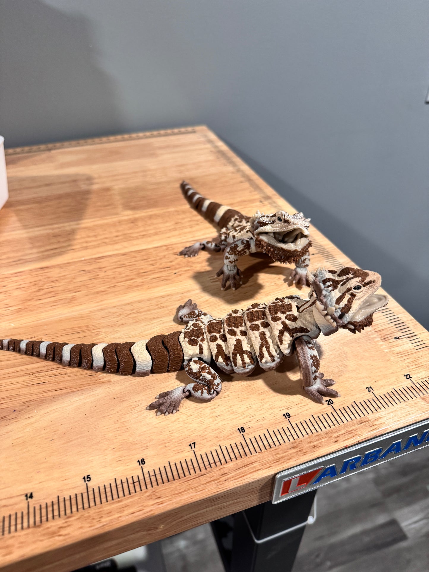 Bearded dragon - realistic