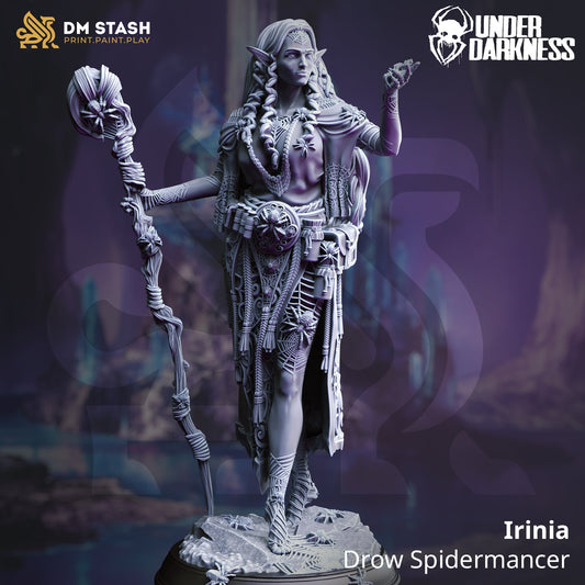 Irinia - Drow Spidermancer sorceress