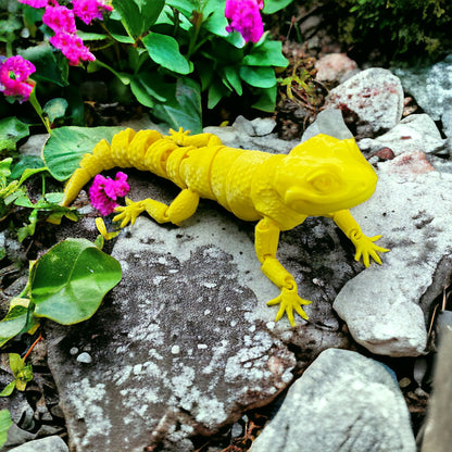 Flex Leopard Gecko