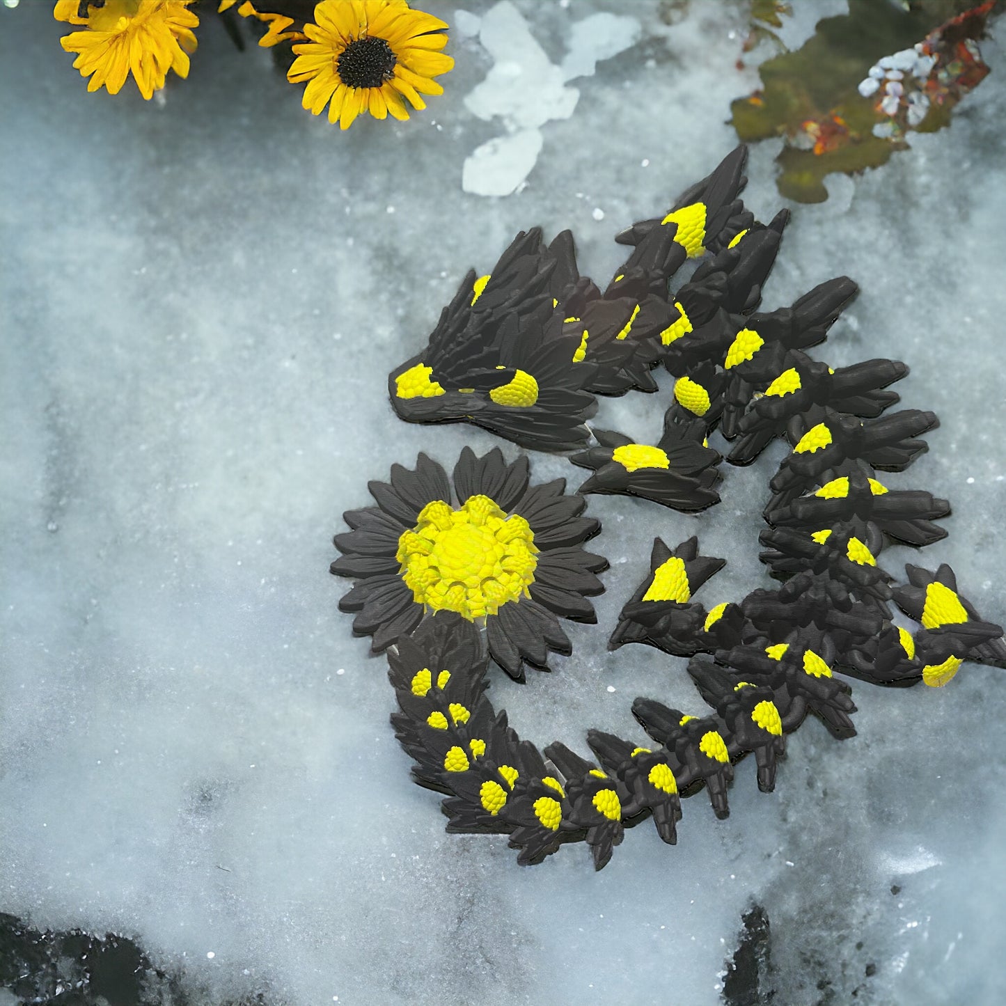 Cinder Dragon Sunflower