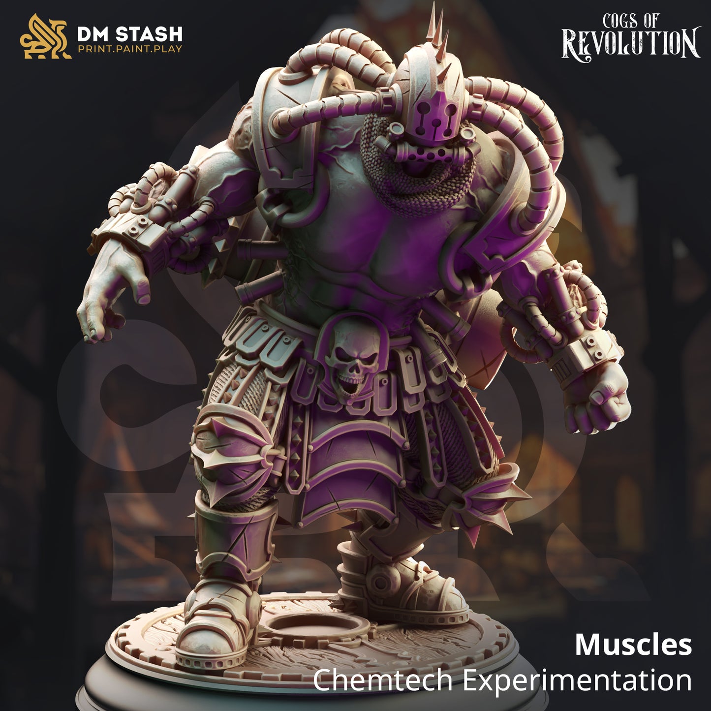 Muscles  - Chemtech Experimentation