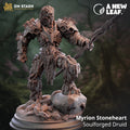 Myrion Stoneheart - Warforged Druid