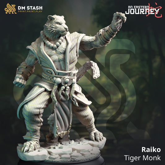 Raiko - Tabaxi Monk