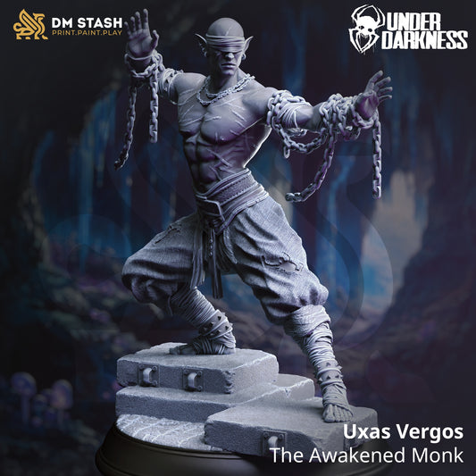 Uxas Vergos - The Awakened Drow Monk