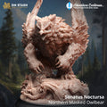 Sonatus Noctursa - OWLBEAR