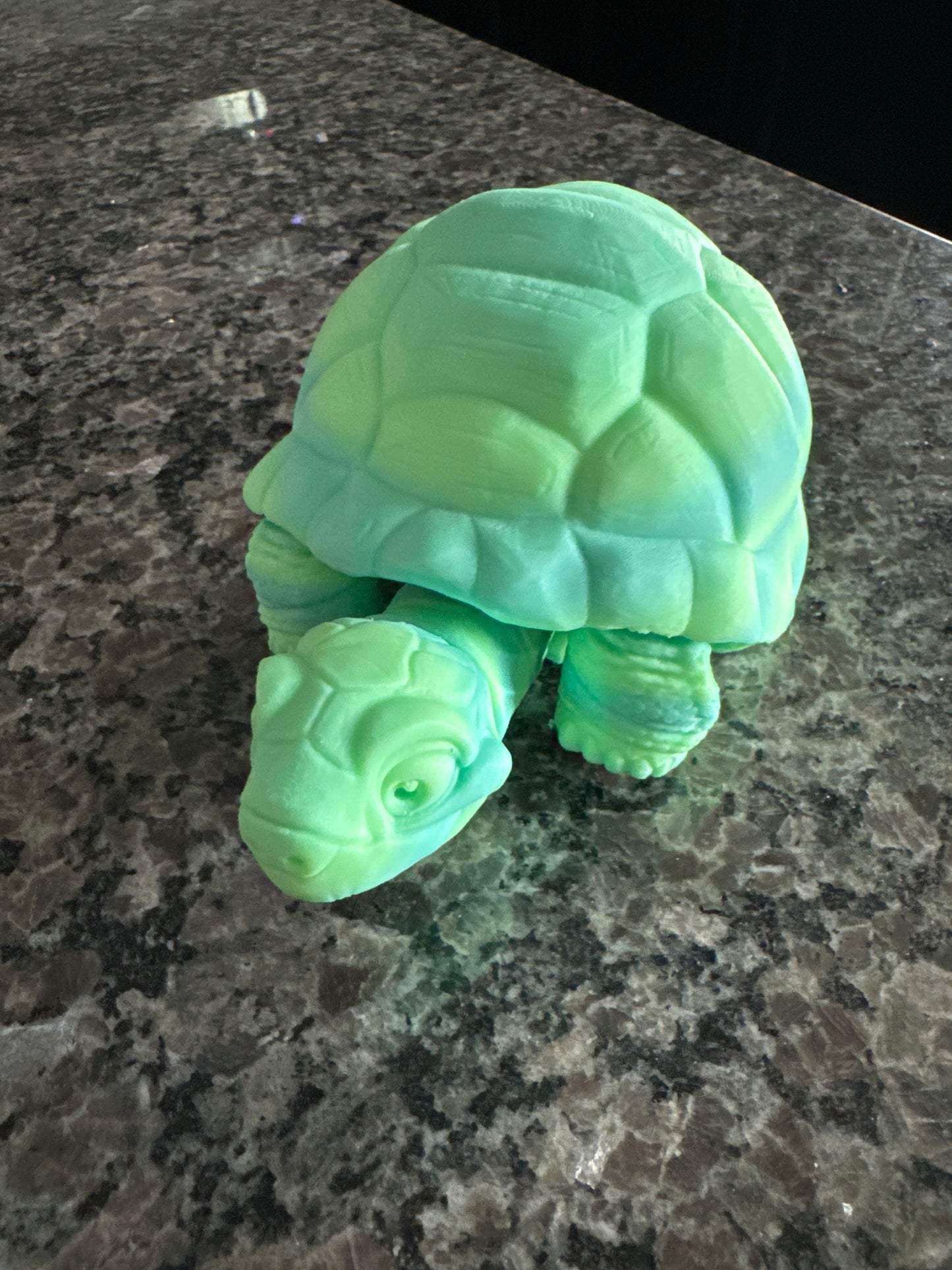 Flex Tortoise