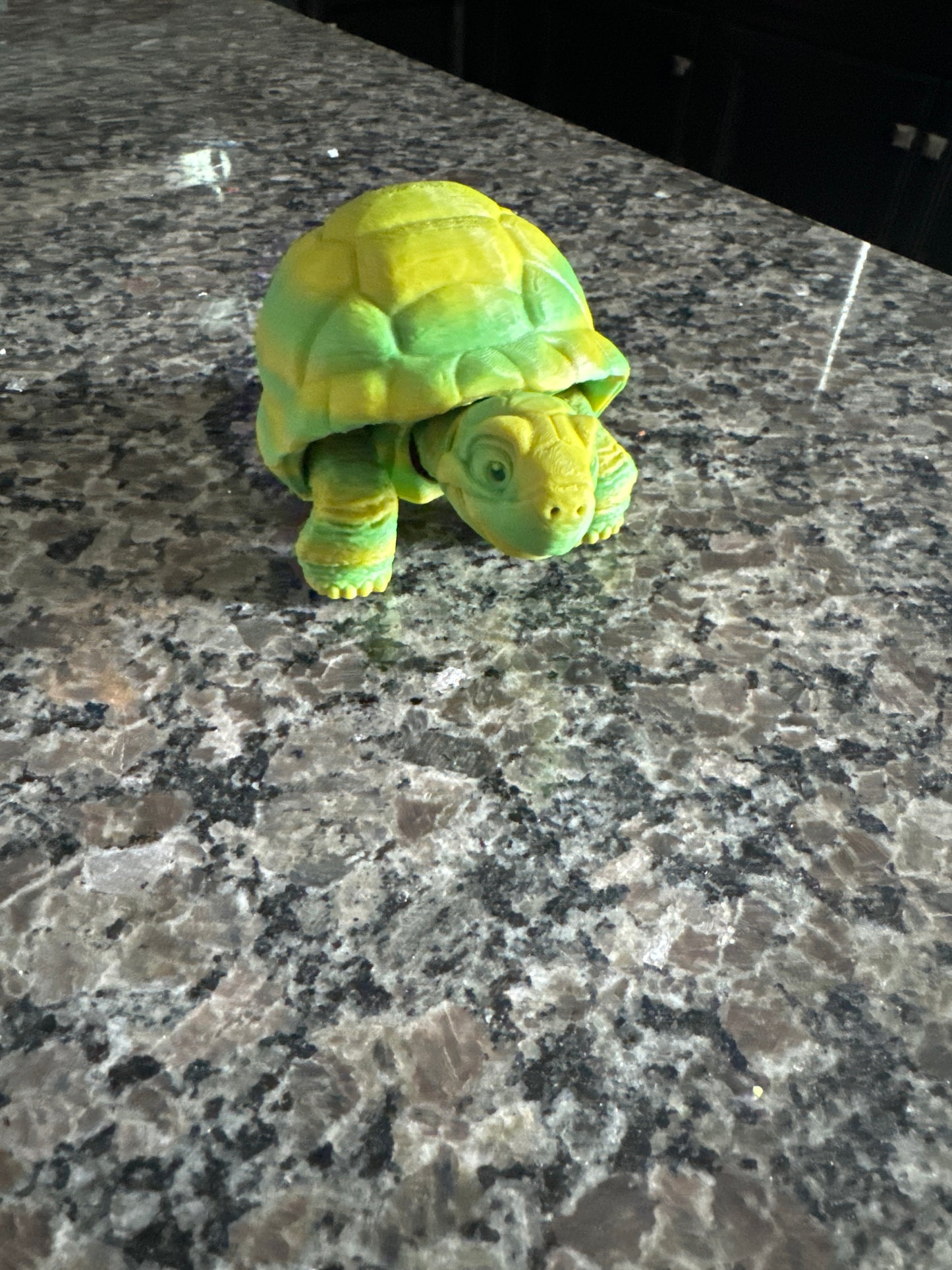 Flex Tortoise