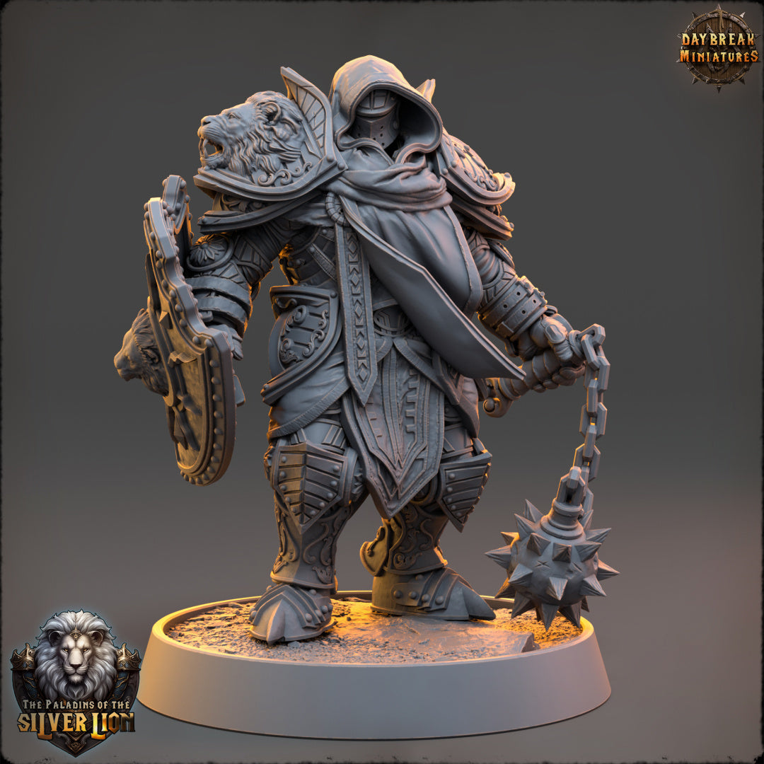 Mattias du Lion Tuant - Paladin